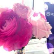 ヒメ日記 2025/03/12 17:32 投稿 吉永 睦 五十路マダム金沢店