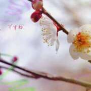 ヒメ日記 2025/03/20 20:34 投稿 吉永 睦 五十路マダム金沢店