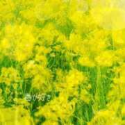 ヒメ日記 2025/04/10 19:32 投稿 吉永 睦 五十路マダム金沢店