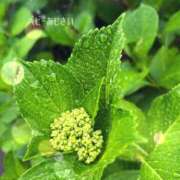 ヒメ日記 2025/06/06 22:04 投稿 吉永 睦 五十路マダム金沢店