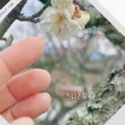 ヒメ日記 2026/02/12 12:18 投稿 吉永 睦 五十路マダム金沢店