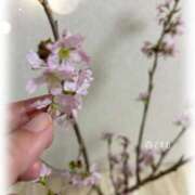 ヒメ日記 2026/03/21 12:32 投稿 吉永 睦 五十路マダム金沢店