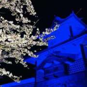 吉永 睦 お花見・夜桜編 五十路マダム金沢店