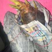 ヒメ日記 2025/04/24 09:27 投稿 RANA/らな　centu STYLISH BACH