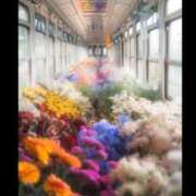 ヒメ日記 2025/04/29 12:14 投稿 RANA/らな　centu STYLISH BACH