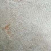 ヒメ日記 2025/05/17 10:22 投稿 RANA/らな　centu STYLISH BACH