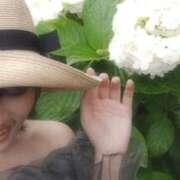 ヒメ日記 2025/06/24 23:19 投稿 RANA/らな　centu STYLISH BACH