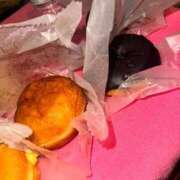 ヒメ日記 2025/07/11 05:50 投稿 RANA/らな　centu STYLISH BACH