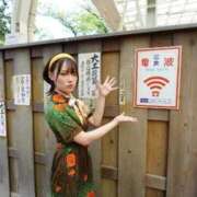 ヒメ日記 2025/07/27 01:47 投稿 RANA/らな　centu STYLISH BACH