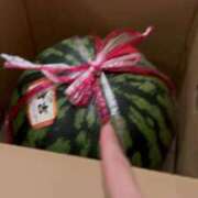 ヒメ日記 2025/07/28 05:20 投稿 RANA/らな　centu STYLISH BACH