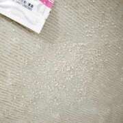 ヒメ日記 2025/08/06 08:32 投稿 RANA/らな　centu STYLISH BACH