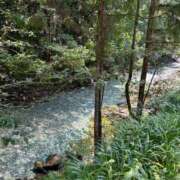 ヒメ日記 2025/08/20 18:22 投稿 RANA/らな　centu STYLISH BACH