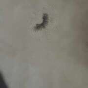 ヒメ日記 2025/08/31 15:22 投稿 RANA/らな　centu STYLISH BACH