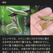 ヒメ日記 2025/10/01 14:18 投稿 RANA/らな　centu STYLISH BACH