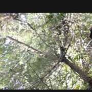 ヒメ日記 2025/10/24 05:52 投稿 RANA/らな　centu STYLISH BACH