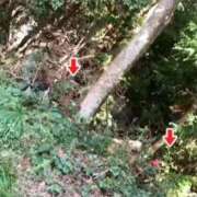 ヒメ日記 2025/10/28 09:22 投稿 RANA/らな　centu STYLISH BACH