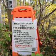 ヒメ日記 2025/11/06 18:59 投稿 RANA/らな　centu STYLISH BACH