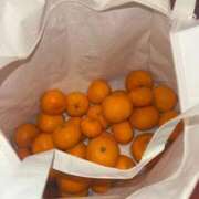 ヒメ日記 2025/12/05 04:57 投稿 RANA/らな　centu STYLISH BACH