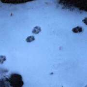 ヒメ日記 2025/12/08 16:02 投稿 RANA/らな　centu STYLISH BACH