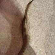 ヒメ日記 2025/12/28 17:52 投稿 RANA/らな　centu STYLISH BACH