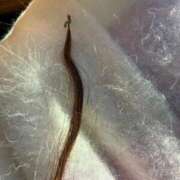 ヒメ日記 2026/01/12 10:12 投稿 RANA/らな　centu STYLISH BACH