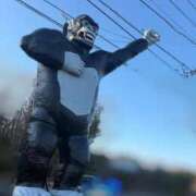 ヒメ日記 2026/01/13 16:02 投稿 RANA/らな　centu STYLISH BACH