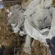 ヒメ日記 2026/01/16 13:37 投稿 RANA/らな　centu STYLISH BACH