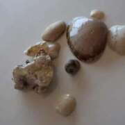 ヒメ日記 2026/01/18 08:42 投稿 RANA/らな　centu STYLISH BACH