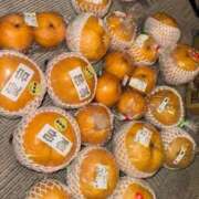 ヒメ日記 2026/01/26 08:55 投稿 RANA/らな　centu STYLISH BACH