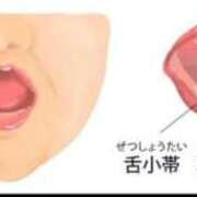 ヒメ日記 2026/02/09 14:09 投稿 RANA/らな　centu STYLISH BACH