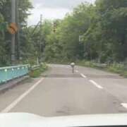 ヒメ日記 2026/06/02 01:52 投稿 RANA/らな　centu STYLISH BACH