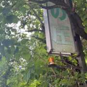 ヒメ日記 2026/06/24 09:48 投稿 RANA/らな　centu STYLISH BACH