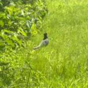 ヒメ日記 2026/07/14 08:12 投稿 RANA/らな　centu STYLISH BACH