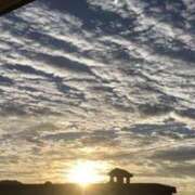 ヒメ日記 2024/12/23 08:29 投稿 しずか 鹿児島ちゃんこ霧島店