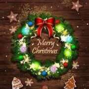 ヒメ日記 2024/12/24 17:49 投稿 しずか 鹿児島ちゃんこ霧島店