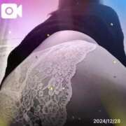 ヒメ日記 2024/12/28 11:59 投稿 しずか 鹿児島ちゃんこ霧島店