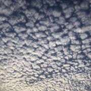 ヒメ日記 2024/12/31 08:29 投稿 しずか 鹿児島ちゃんこ霧島店