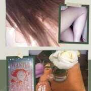 ヒメ日記 2025/01/09 15:49 投稿 しずか 鹿児島ちゃんこ霧島店