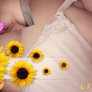 ヒメ日記 2025/01/27 08:09 投稿 しずか 鹿児島ちゃんこ霧島店