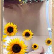 ヒメ日記 2025/02/08 08:19 投稿 しずか 鹿児島ちゃんこ霧島店