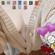 ヒメ日記 2025/02/09 07:29 投稿 しずか 鹿児島ちゃんこ霧島店