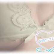 ヒメ日記 2025/02/27 17:29 投稿 しずか 鹿児島ちゃんこ霧島店