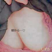 ヒメ日記 2025/06/02 07:19 投稿 しずか 鹿児島ちゃんこ霧島店