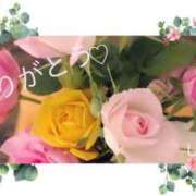 ヒメ日記 2025/06/20 16:19 投稿 しずか 鹿児島ちゃんこ霧島店