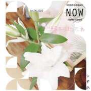 ヒメ日記 2025/07/06 09:14 投稿 しずか 鹿児島ちゃんこ霧島店