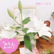 ヒメ日記 2025/07/08 08:29 投稿 しずか 鹿児島ちゃんこ霧島店