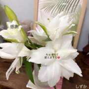 ヒメ日記 2025/07/08 14:19 投稿 しずか 鹿児島ちゃんこ霧島店