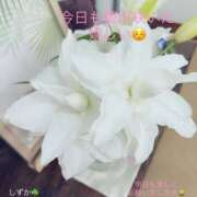 ヒメ日記 2025/07/10 03:19 投稿 しずか 鹿児島ちゃんこ霧島店