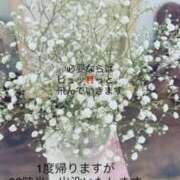 ヒメ日記 2025/07/15 21:19 投稿 しずか 鹿児島ちゃんこ霧島店