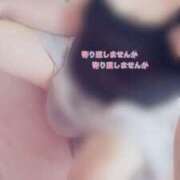 ヒメ日記 2025/07/16 17:19 投稿 しずか 鹿児島ちゃんこ霧島店